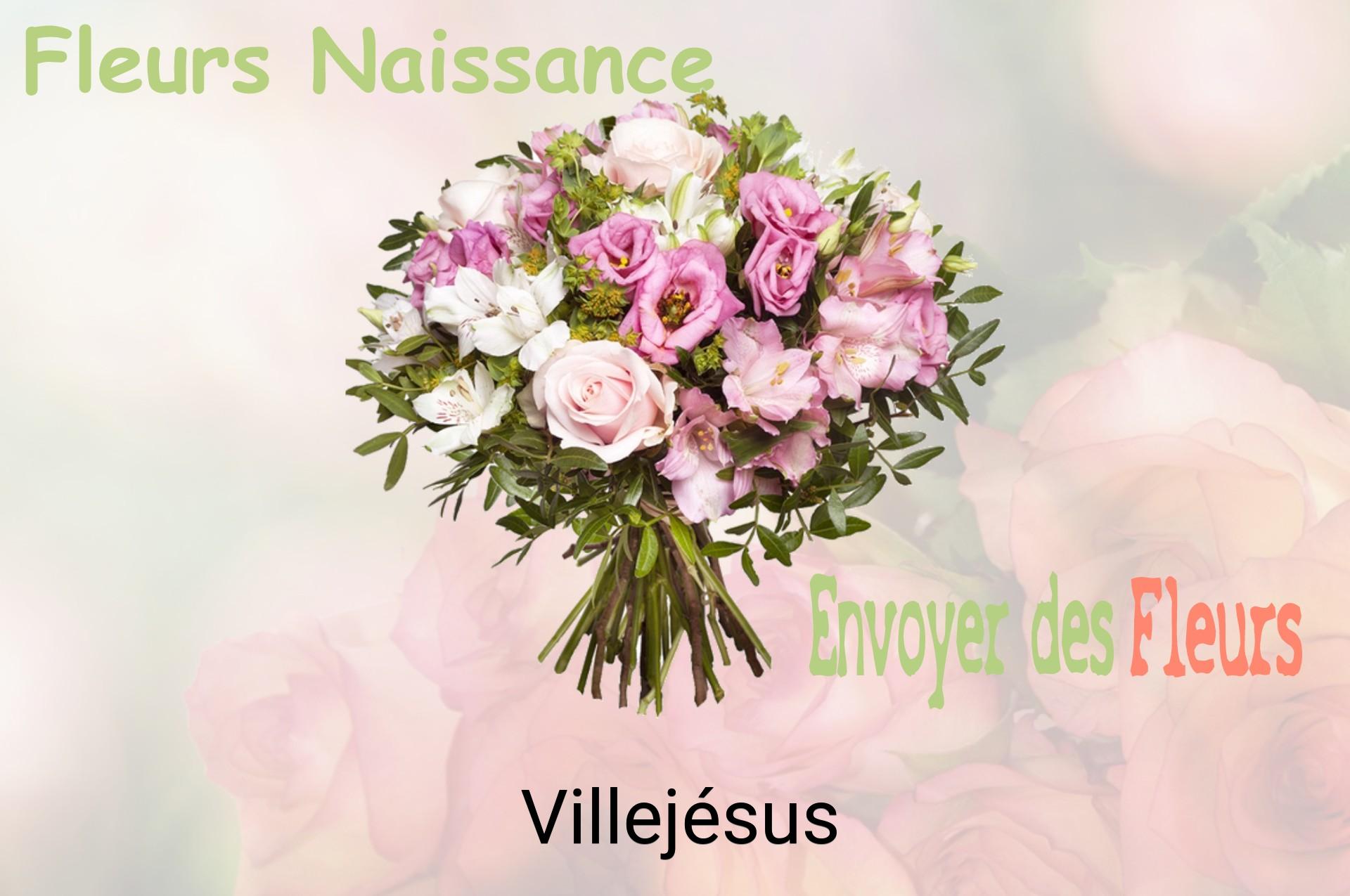 Bouquet de fleurs de naissance livré à Villejésus